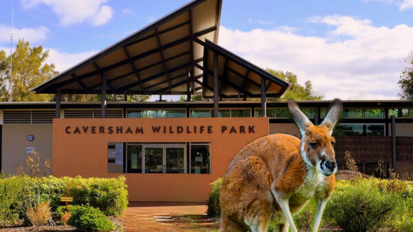 Makan-Angin-Caversham-Wildlife-Park