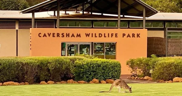 Caversham